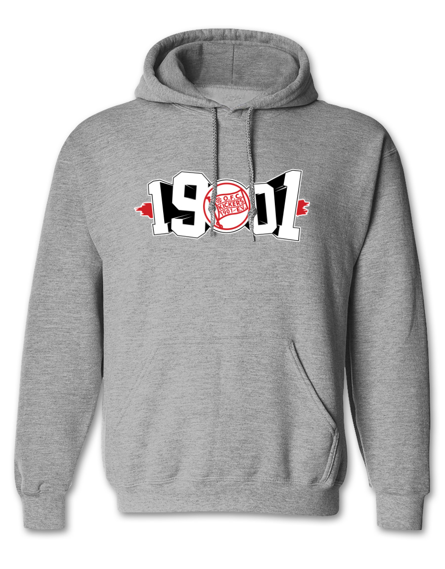 hoodie_hgrau_1901