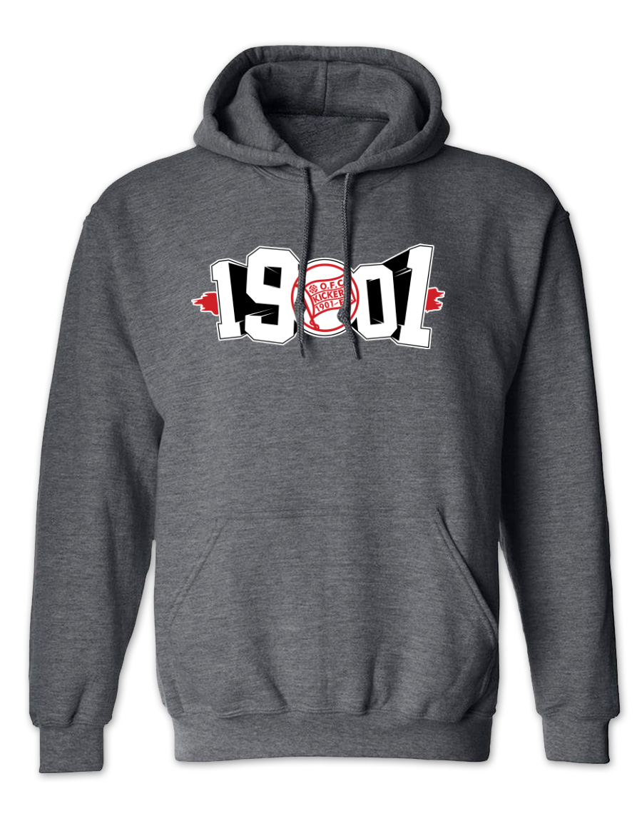 hoodie_dgrau_1901